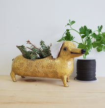 Load image into Gallery viewer, Yellow Sausage Planter
