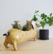 Load image into Gallery viewer, Yellow Sausage Planter
