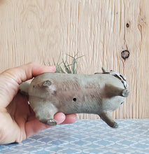 Charger l&#39;image dans la galerie, Cheeky kitty planter
