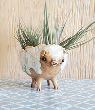 Load image into Gallery viewer, Long Legged Piggy Planter
