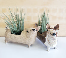 Load image into Gallery viewer, Happy Chi-chi Planter
