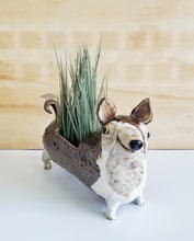 Load image into Gallery viewer, Happy Chi-chi Planter
