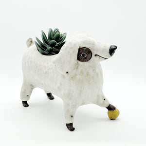 Poodle Planter with Yellow Ball