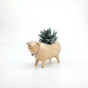 Little Piggy Planter