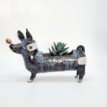 Load image into Gallery viewer, Long Doggy Planter-Bandit
