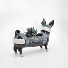 Load image into Gallery viewer, Long Doggy Planter-Bandit
