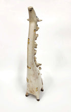Load image into Gallery viewer, Rose giraffe-tall
