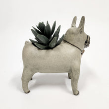 Load image into Gallery viewer, French Bull Dog Planter
