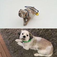 Load image into Gallery viewer, Personalized Furbaby Ornament
