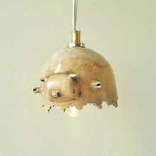 Load image into Gallery viewer, Piggy pendant lamp
