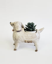 Load image into Gallery viewer, White Poodle Planter
